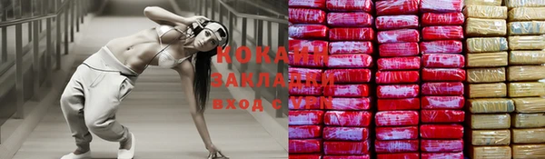 соль ск Абаза