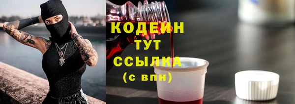 соль ск Абаза