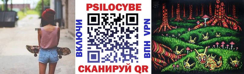 Галлюциногенные грибы Psilocybe  купить наркотик  Зеленодольск 