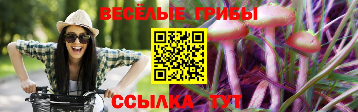 Псилоцибиновые грибы мухоморы  Вход с VPN  Зеленодольск 